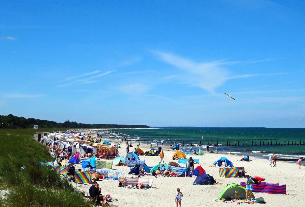 Kavelweg 13 Whg 4 - Kleiner Kaeptn Apartment Zingst Luaran gambar