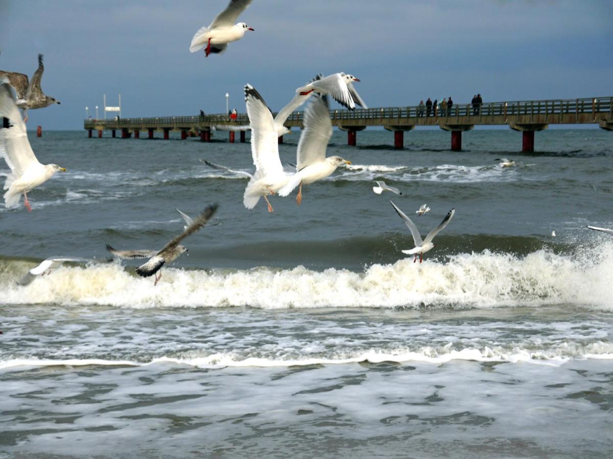 Kavelweg 13 Whg 4 - Kleiner Kaeptn Apartment Zingst Luaran gambar